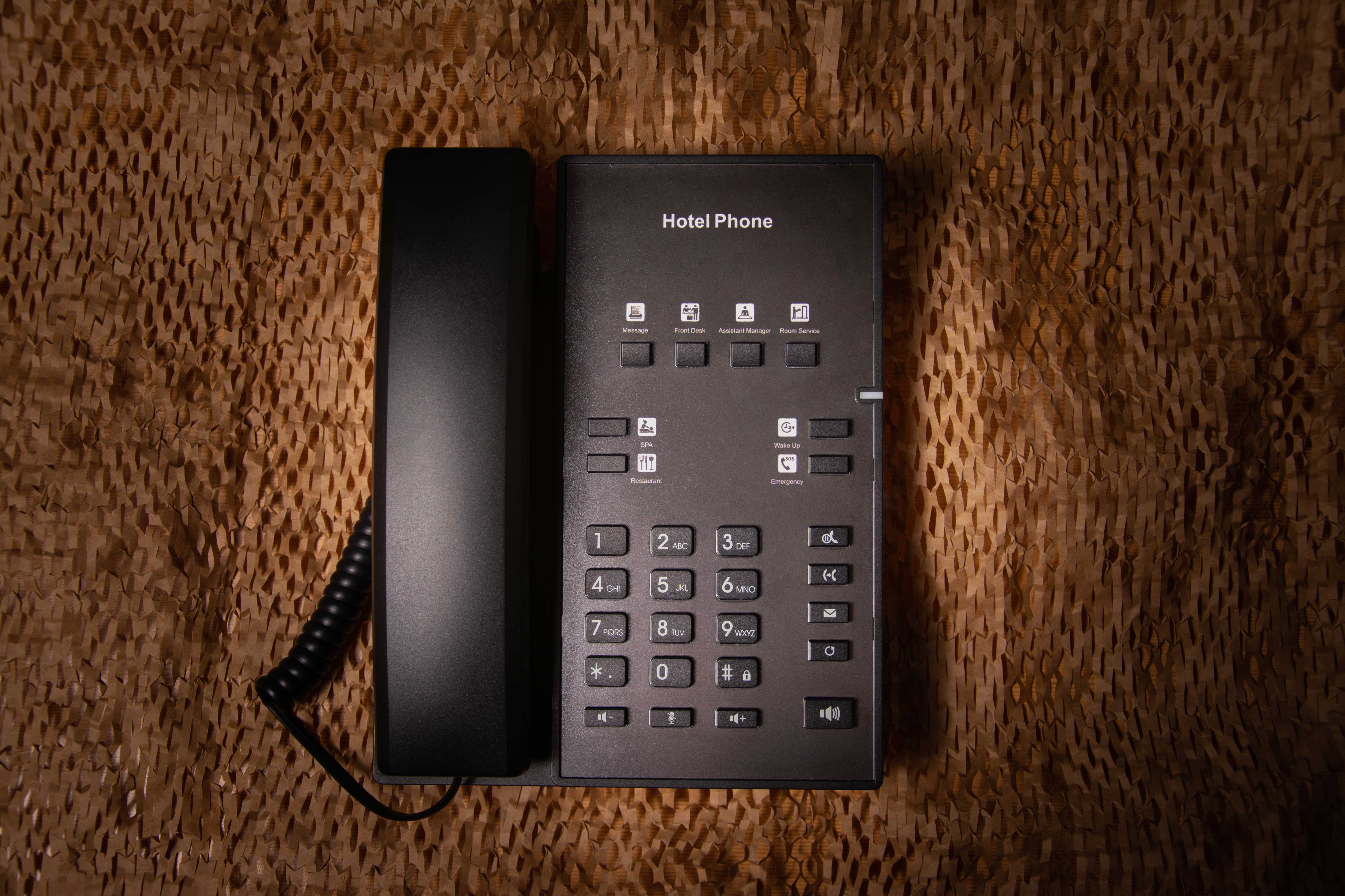 Fanvil H1